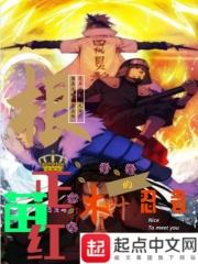 根正苗红的木叶忍者