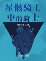星骸骑士中的骑士