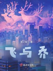 飞与乔