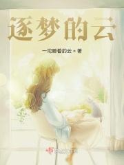 逐梦的云