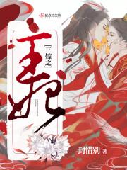 三嫁之王妃