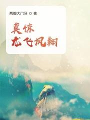 浮生录之龙飞凤翔