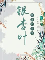 银杏叶散落的季节