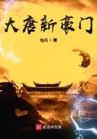 大唐新豪门