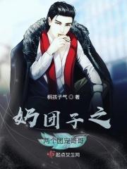 奶团子之两个团宠哥哥