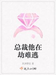 总裁他在劫难逃