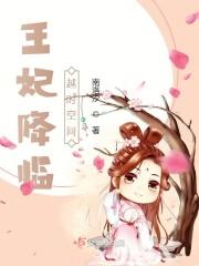 王妃降临:越时空间