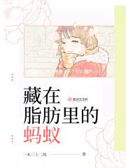 藏在脂肪里的蚂蚁