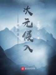 书游录：次元侵入