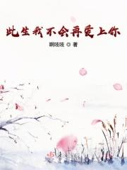 此生我不会再爱上你