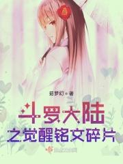 斗罗大陆之觉醒铭纹碎片