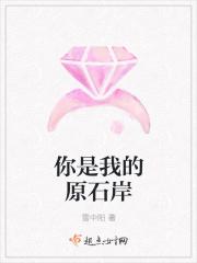 你是我的原石岸