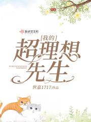 我的超理想先生