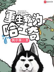 重生我为哈士奇