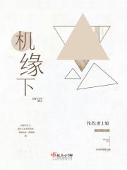 机缘下