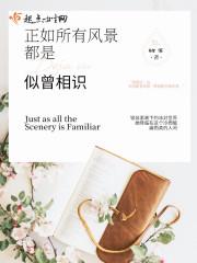 正如所有风景都是似曾相识