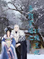 异能穿越之北境王妃