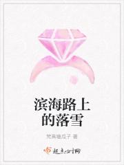 滨海路上的落雪