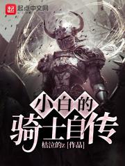 小白的骑士自传