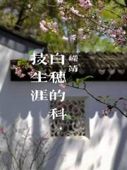 白穗的科技生涯