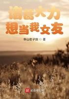 诸葛大力想当我女友