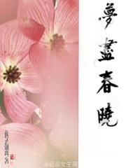 梦尽春晓