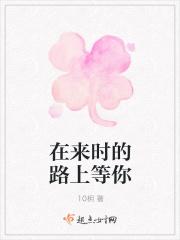 在来时的路上等你