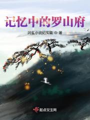 记忆中的罗山府