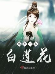 绝世莲姬雪倾天下