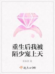 重生后我被陌少宠上天