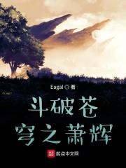 斗破苍穹之萧辉外传