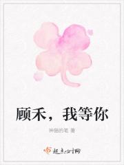 顾禾，我等你