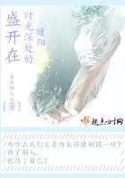 盛开在时光深处的暖阳