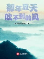那年夏天吹不到的风