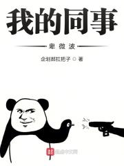 我的同事卑微波