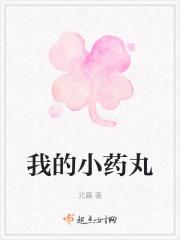 我的小药丸