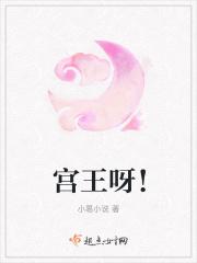 宫王呀！