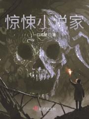惊悚小说家