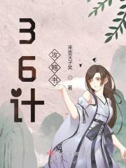 36计攻略书