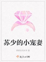 苏少的小宠妻