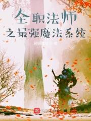 全职法师之最强魔法系统