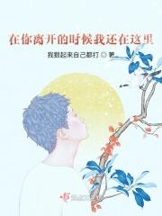 在你离开的时候我还在这里