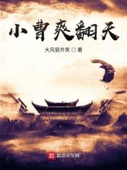 穿越三国之小曹爽翻天