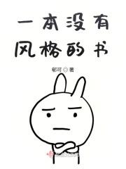 一本没有风格的书