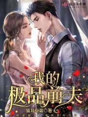 我的极品前夫