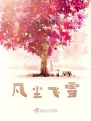 凡尘飞雪