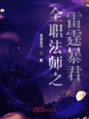 全职法师之雷霆暴君