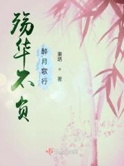 殇华不负，醉月歌行