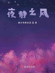 夜静之风