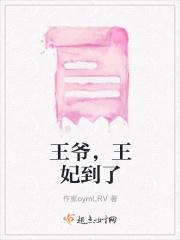 王爷，王妃到了